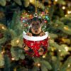 Airedale Terrier In Snow Pocket Christmas Ornament – Flat Acrylic Dog Ornament – Dog Memorial Gift