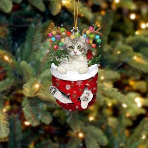 American Curl Cat In Snow Pocket Christmas…