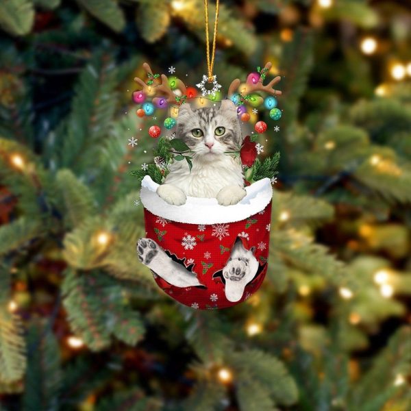 American Curl Cat In Snow Pocket Christmas Ornament – Flat Acrylic Cat Ornament Hanging Gift