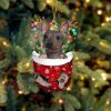 American Hairless Terrier In Snow Pocket Christmas Ornament – Flat Acrylic Dog Ornament