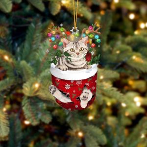 American Shorthair Cat In Snow Pocket Christmas…