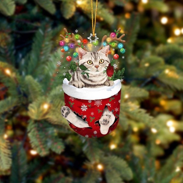 American Shorthair Cat In Snow Pocket Christmas Ornament Hanging Gift – Flat Acrylic Cat Ornament