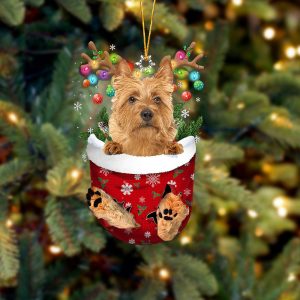 Australian Terrier In Snow Pocket Christmas Ornament…