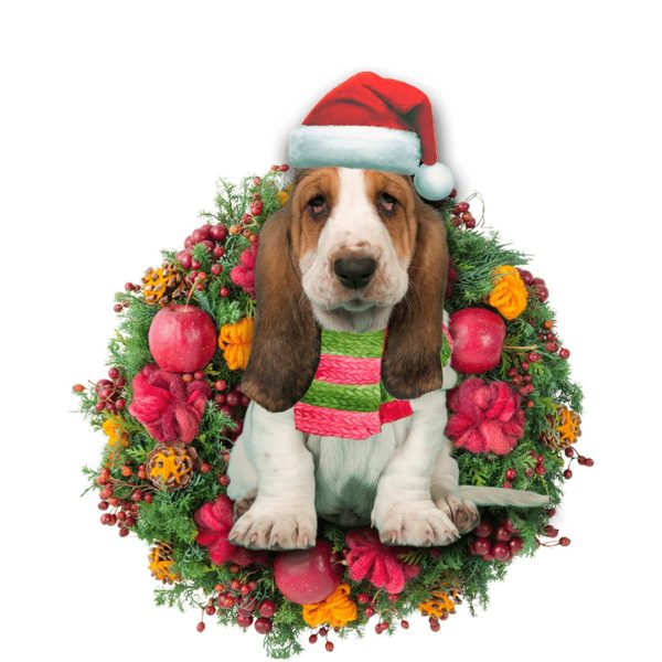 Basset Hound Christmas Christmas Plastic Hanging Ornament – Christmas Decor