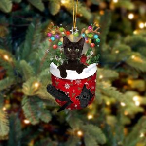 Black Cat In Snow Pocket Christmas Ornament - Flat Acrylic Cat Ornament - Christmas Decor