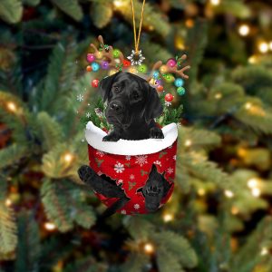 Black Labrador In Snow Pocket Christmas Ornament…