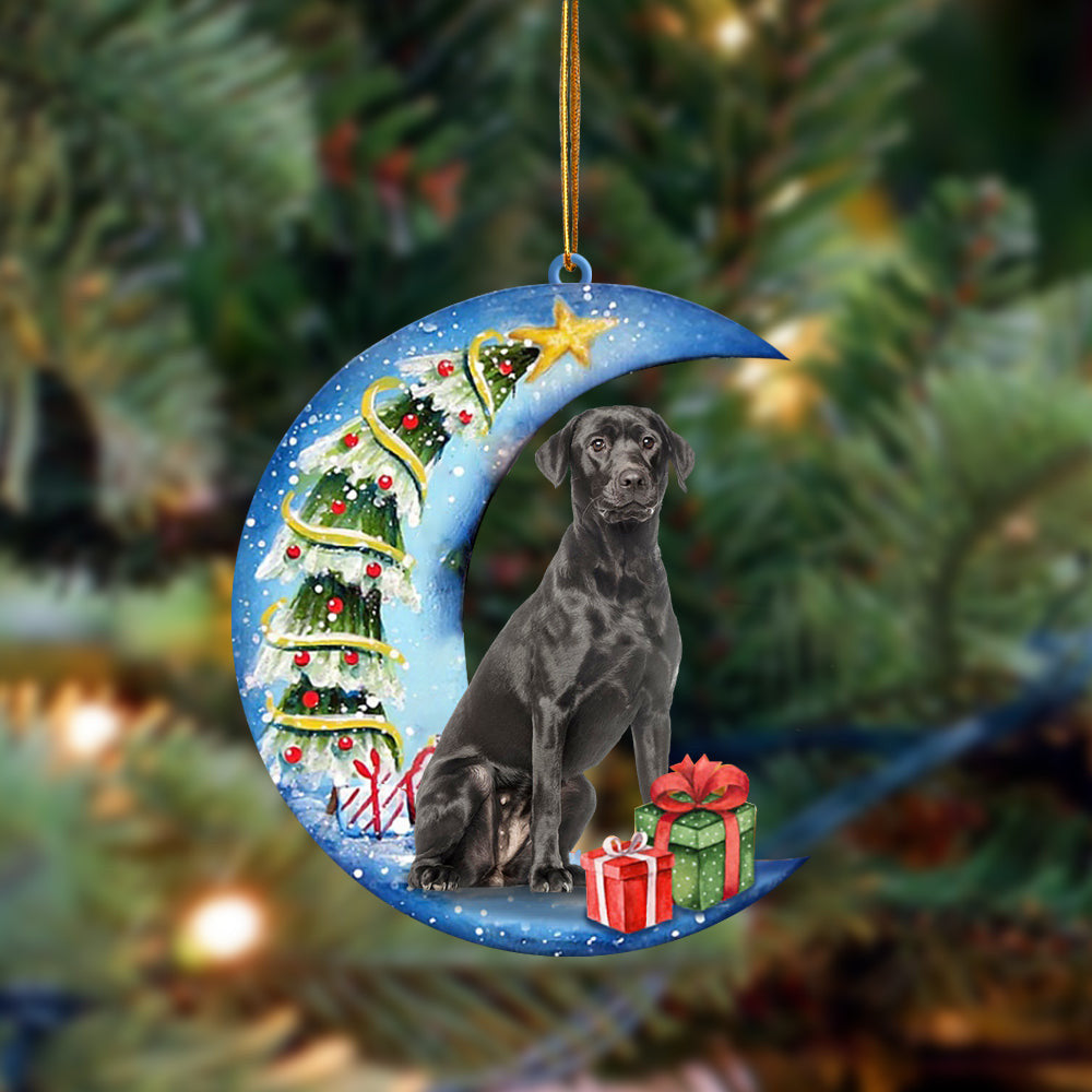 Black Labrador Sit On The Blue Moon-Two Sided Christmas Plastic Hanging Ornament