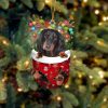 Black Long Haired Dachshund In Snow Pocket Christmas Ornament – Flat Acrylic Dog Ornament