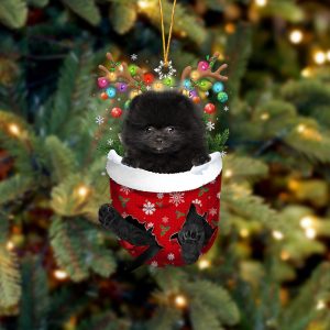Black Pomeranian In Snow Pocket Christmas Ornament…
