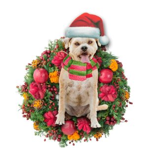 Border Terrier Christmas Christmas Plastic Hanging Ornament…