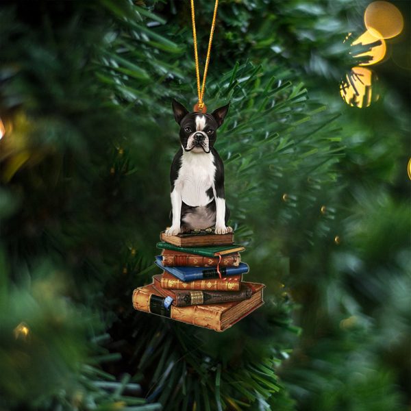 Boston Terrier-Sit On The Book Two Sides Christmas Plastic Hanging Ornament – Dog Memorial Gift