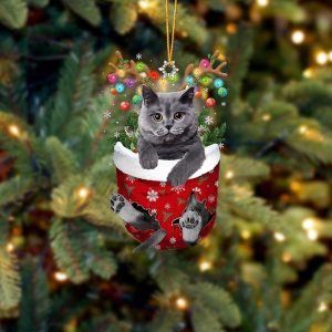 British Grey Cat In Snow Pocket Christmas…
