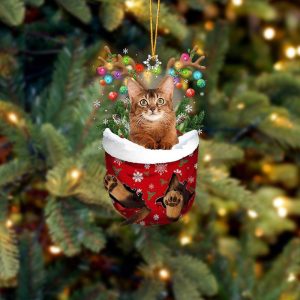 Brown Cat In Snow Pocket Christmas Ornament…