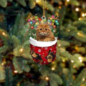 Brown Cat In Snow Pocket Christmas Ornament - Flat Acrylic Cat Ornament - Christmas Decor