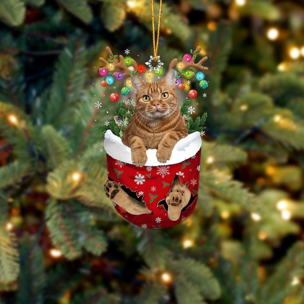 Brown Cat In Snow Pocket Christmas Ornament – Flat Acrylic Cat Ornament – Christmas Decor Brown Cat In Snow Pocket Christmas Ornament – Flat Acrylic Cat Ornament – Christmas Decor