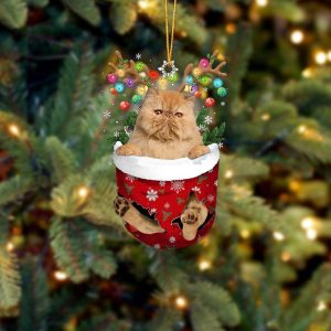 Brown Cat In Snow Pocket Christmas Ornament - Flat Acrylic Cat Ornament - Christmas Decor