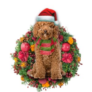 Brown Labradoodle Christmas Christmas Plastic Hanging Ornament…