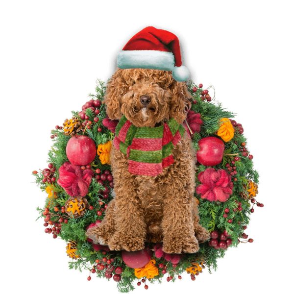 Brown Labradoodle Christmas Christmas Plastic Hanging Ornament – Christmas Decor