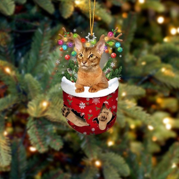 Cat Abyssinian In Snow Pocket Christmas Ornament Hanging Gift – Flat Acrylic Cat Ornament