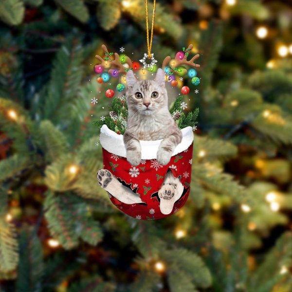 Cat American Curl In Snow Pocket Christmas Ornament – Flat Acrylic Cat Ornament – Cat Memorial Gift
