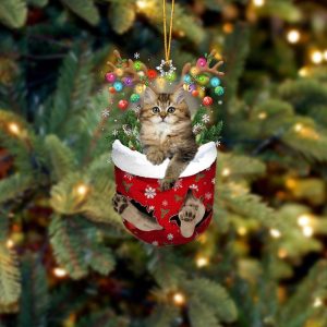 Cat British Longhair In Snow Pocket Christmas…