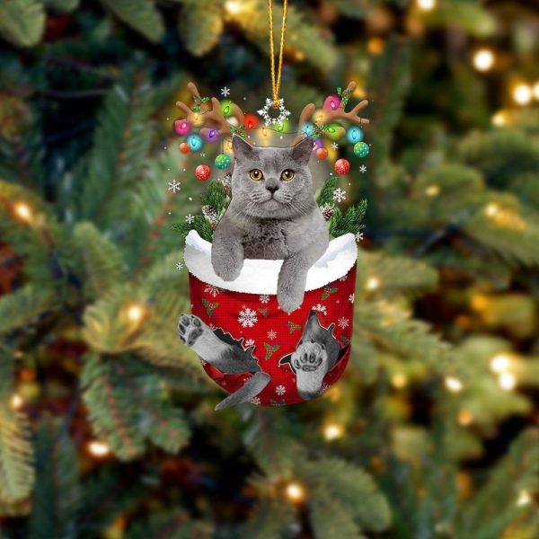 Cat British Shorthair In Snow Pocket Christmas Ornament – Flat Acrylic Cat Ornament – Christmas Decor