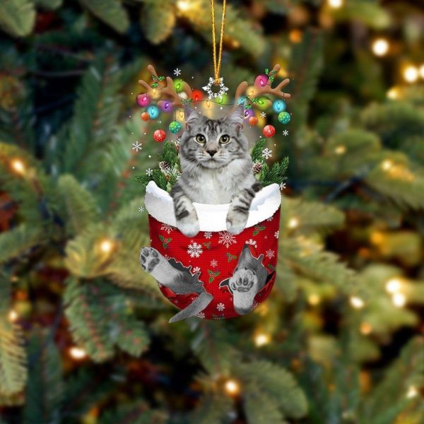 Cat Maine Coon In Snow Pocket Christmas Ornament – Flat Acrylic Cat Ornament – Christmas Decor