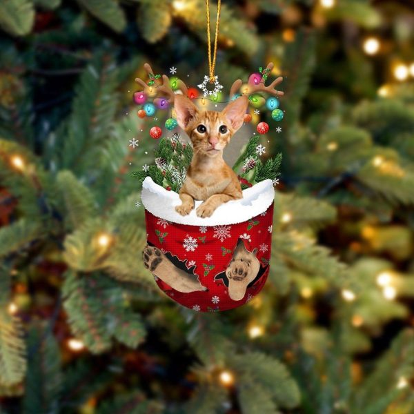 Cat Oriental Shorthair In Snow Pocket Christmas Ornament – Flat Acrylic Cat Ornament