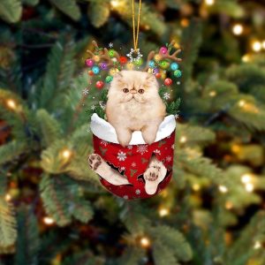 Cat Persian In Snow Pocket Christmas Ornament…