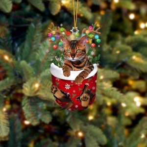 Cat Tiger In Snow Pocket Christmas Ornament…
