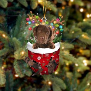 Chesapeake Bay Retriever In Snow Pocket Christmas…