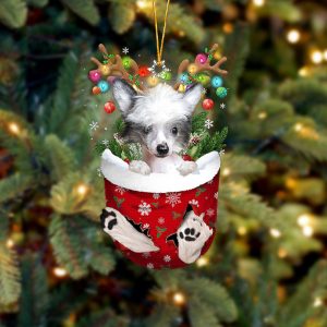 Chinese Crested Dog In Snow Pocket Christmas…