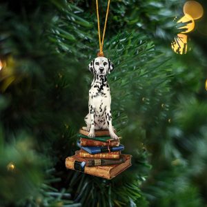 Dalmatian Sit On The Book Two Sides…