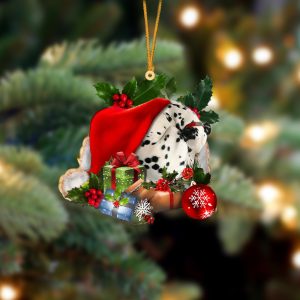 Dalmatian Sleeping In Hat Two Sides Christmas…