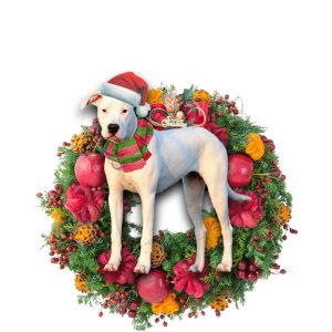 Dogo Argentino Christmas Christmas Plastic Hanging Ornament…