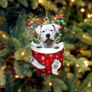 Dogo Argentino In Snow Pocket Christmas Ornament…