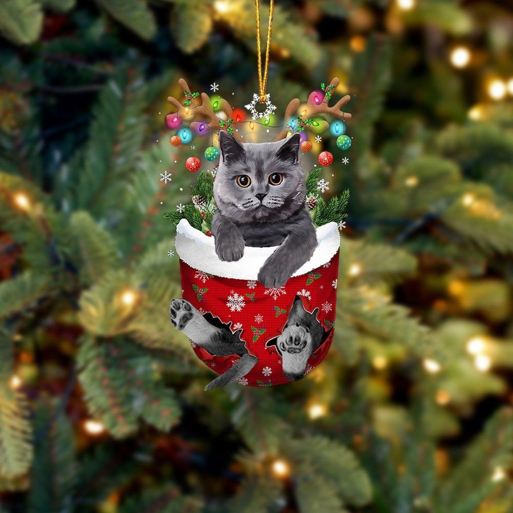 Egyptian Mau Cat In Snow Pocket Christmas Ornament – Dog Memorial Gift – Flat Acrylic Cat Ornament Egyptian Mau Cat In Snow Pocket Christmas Ornament – Dog Memorial Gift – Flat Acrylic Cat Ornament
