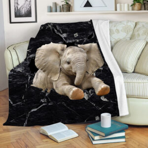 Elephant Big Crack In The Rock Fleece Throw Blanket - Soft And Cozy Blanket - Best Weighted Blanket For Adults