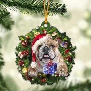 English Bulldog And Christmas Gift For Her…