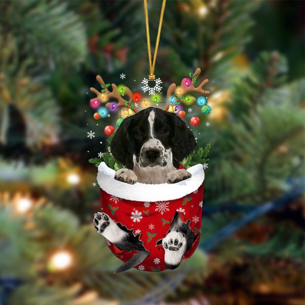 English Springer Spaniel In Christmas Pocket Two Sides Christmas Plastic Hanging Ornament – Ornaments Hanging Gift