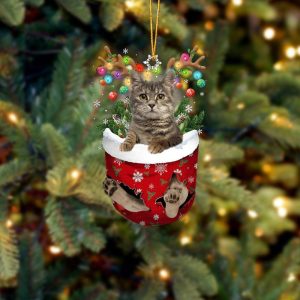 European Shorthair In Snow Pocket Christmas Ornament…