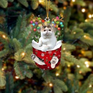 Exotic Shorthair In Snow Pocket Christmas Ornament…