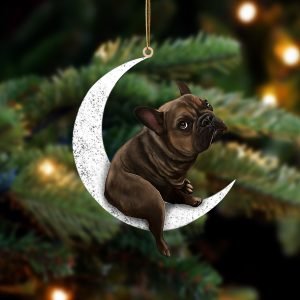 French Bulldog-Sit On The Moon-Two Sided Christmas…
