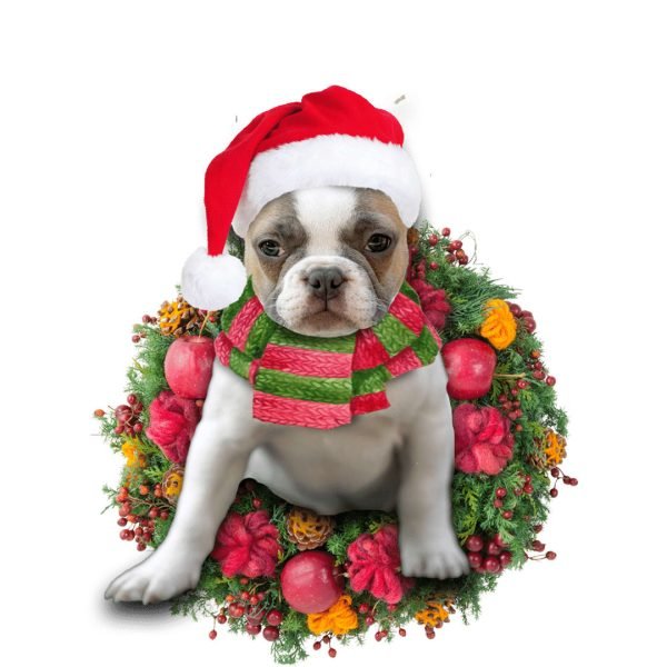 French Bulldog Christmas Christmas Plastic Hanging Ornament – Dog Memorial Gift