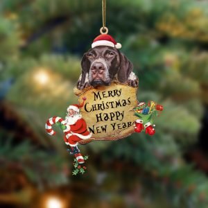 German Shorthaired Pointer-Christams & New Year Two…