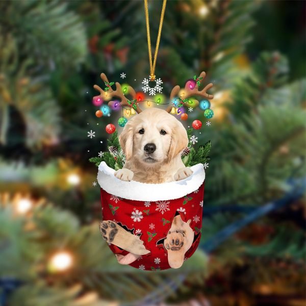 Golden Retriever-In Christmas Pocket Two Sides Christmas Plastic Hanging Ornament – Christmas Decor
