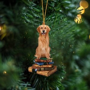 Golden Retriever-Sit On The Book Two Sides…