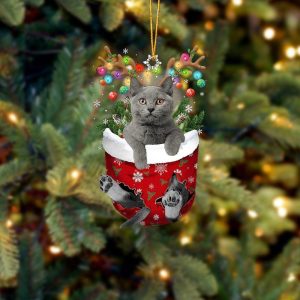 Grey Cat In Snow Pocket Christmas Ornament - Christmas Gift For Friends - Flat Acrylic Cat Ornament