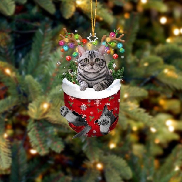 Grey Cat In Snow Pocket Christmas Ornament – Christmas Gift For Friends – Flat Acrylic Cat Ornament