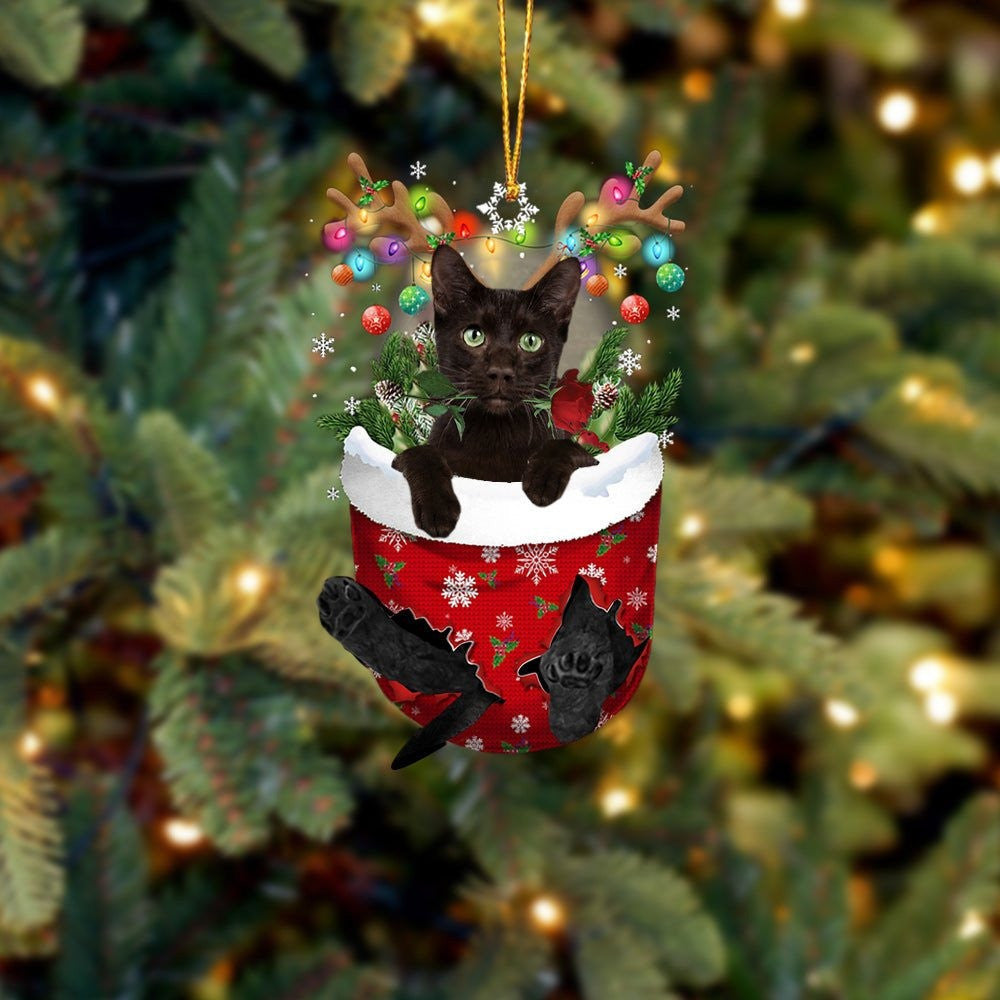 Havana Brown Cat In Snow Pocket Christmas Ornament – Flat Acrylic Cat Ornament Havana Brown Cat In Snow Pocket Christmas Ornament – Flat Acrylic Cat Ornament